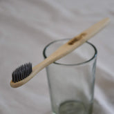 MyOnearth Dental Kit with C Curve Brush